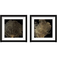 Framed 'Honeycomb Coral 2 Piece Framed Art Print Set' border=