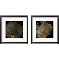 Framed 'Honeycomb Coral 2 Piece Framed Art Print Set' border=