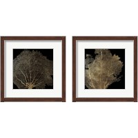 Framed Honeycomb Coral 2 Piece Framed Art Print Set