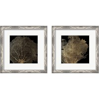 Framed 'Honeycomb Coral 2 Piece Framed Art Print Set' border=