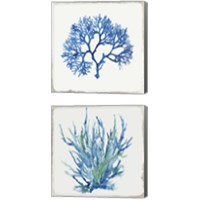 Framed 'Blue and Green Coral  2 Piece Canvas Print Set' border=