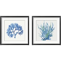 Framed Blue and Green Coral  2 Piece Framed Art Print Set