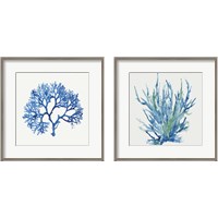Framed 'Blue and Green Coral  2 Piece Framed Art Print Set' border=