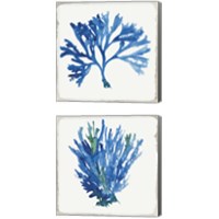 Framed 'Blue and Green Coral  2 Piece Canvas Print Set' border=