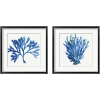 Framed Blue and Green Coral  2 Piece Framed Art Print Set