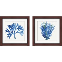 Framed 'Blue and Green Coral  2 Piece Framed Art Print Set' border=