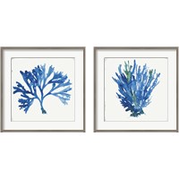 Framed Blue and Green Coral  2 Piece Framed Art Print Set