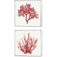 Framed 'Red Coral 2 Piece Canvas Print Set' border=
