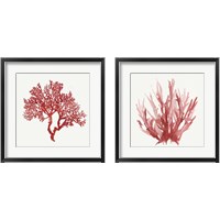 Framed 'Red Coral 2 Piece Framed Art Print Set' border=