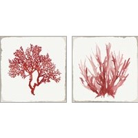 Framed 'Red Coral 2 Piece Art Print Set' border=