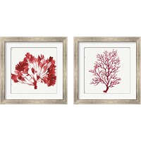 Framed 'Red Coral 2 Piece Framed Art Print Set' border=
