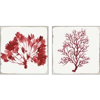 Framed 'Red Coral 2 Piece Art Print Set' border=