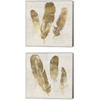 Framed Feather Softly 2 Piece Canvas Print Set