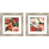 Framed 'Lavish Blooms 2 Piece Framed Art Print Set' border=