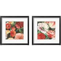 Framed Lavish Blooms 2 Piece Framed Art Print Set