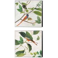 Framed 'Singing Bird 2 Piece Canvas Print Set' border=