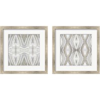 Framed Neutral Kaleidoscope 2 Piece Framed Art Print Set