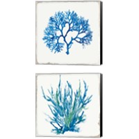 Framed Blue Coral 2 Piece Canvas Print Set