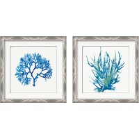 Framed 'Blue Coral 2 Piece Framed Art Print Set' border=