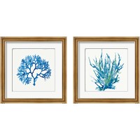 Framed 'Blue Coral 2 Piece Framed Art Print Set' border=