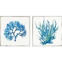 Framed Blue Coral 2 Piece Art Print Set