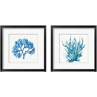 Framed Blue Coral 2 Piece Framed Art Print Set