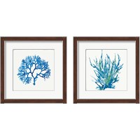 Framed Blue Coral 2 Piece Framed Art Print Set
