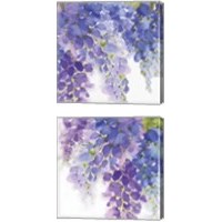 Framed Wisteria  2 Piece Canvas Print Set