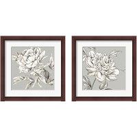 Framed 'Botanical 2 Piece Framed Art Print Set' border=