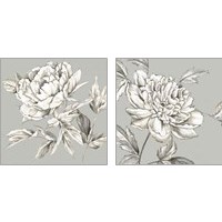 Framed 'Botanical 2 Piece Art Print Set' border=