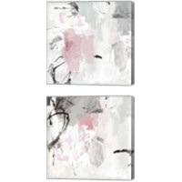 Framed 'Gray Pink 2 Piece Canvas Print Set' border=