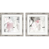 Framed Gray Pink 2 Piece Framed Art Print Set