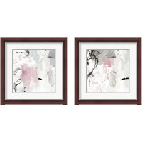 Framed Gray Pink 2 Piece Framed Art Print Set