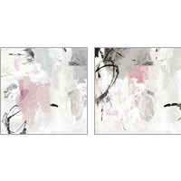 Framed Gray Pink 2 Piece Art Print Set