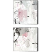 Framed Gray Pink 2 Piece Canvas Print Set