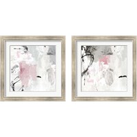 Framed 'Gray Pink 2 Piece Framed Art Print Set' border=