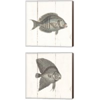 Framed 'Fish Sketches Shiplap2 Piece Canvas Print Set' border=