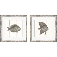 Framed 'Fish Sketches Shiplap2 Piece Framed Art Print Set' border=