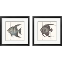 Framed 'Fish Sketches Shiplap2 Piece Framed Art Print Set' border=