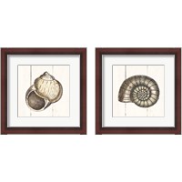 Framed 'Shell Sketches Shiplap 2 Piece Framed Art Print Set' border=