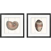 Framed 'Shell Sketches Shiplap 2 Piece Framed Art Print Set' border=