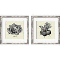 Framed 'Linen Vegetable 2 Piece Framed Art Print Set' border=