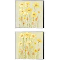 Framed Soft Spring Floral 2 Piece Canvas Print Set