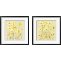 Framed Soft Spring Floral 2 Piece Framed Art Print Set