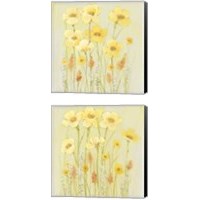 Framed 'Soft Spring Floral 2 Piece Canvas Print Set' border=