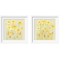 Framed 'Soft Spring Floral 2 Piece Framed Art Print Set' border=