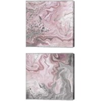 Framed 'Blush Minerals 2 Piece Canvas Print Set' border=