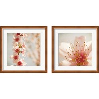 Framed 'Spring Whispers 2 Piece Framed Art Print Set' border=