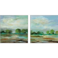 Framed 'Unexpected Clouds 2 Piece Art Print Set' border=