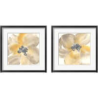 Framed Flower Tones 2 Piece Framed Art Print Set